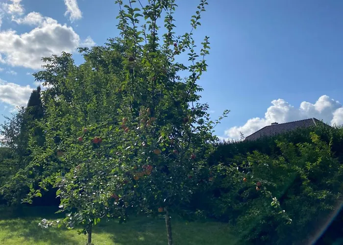 Burgstrasse 8 度假居 *